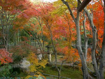 直指庵(もみじ狩り)