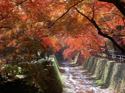 北野天満宮（もみじ狩り）