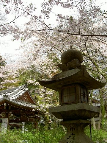 松尾大社（2008年お花見）