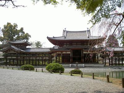 平等院（2007年お花見）