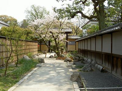 渉成園（2007年お花見）