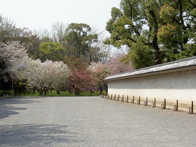 二条城（2007年お花見）