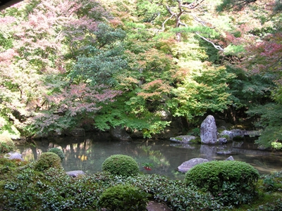 蓮華寺（2009年もみじ狩り）