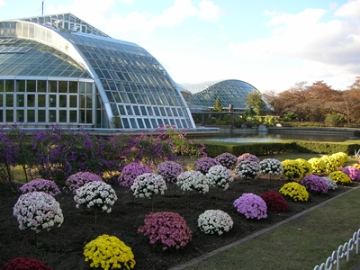 京都府立植物園（2009年もみじ狩り）