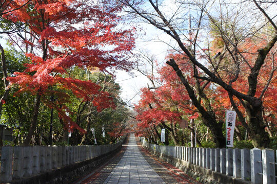 向日神社