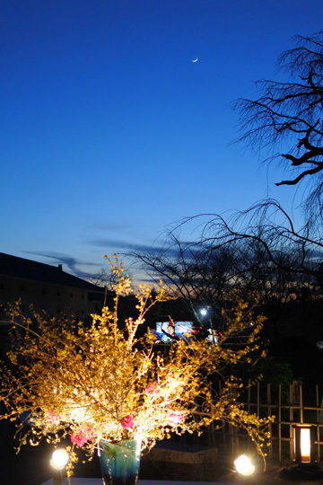 円山公園の生け花と月