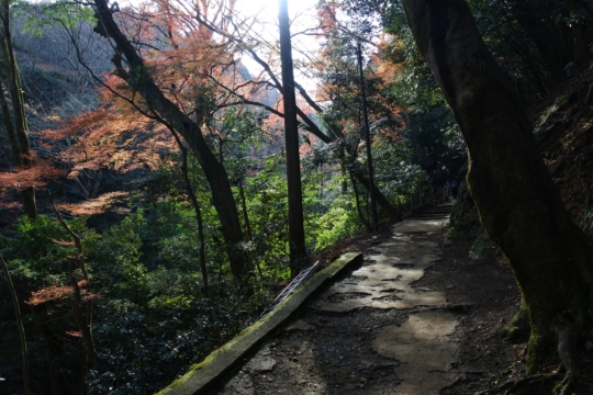 嵐山モンキーパーク