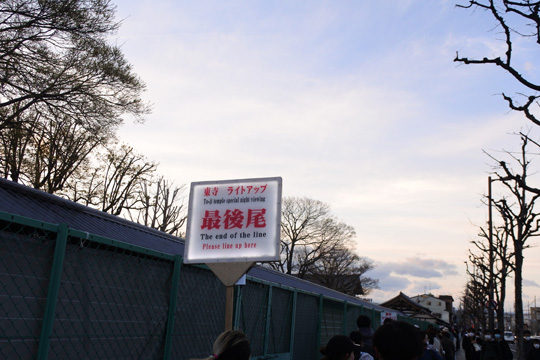 東寺桜ライトアップに並ぶ人々