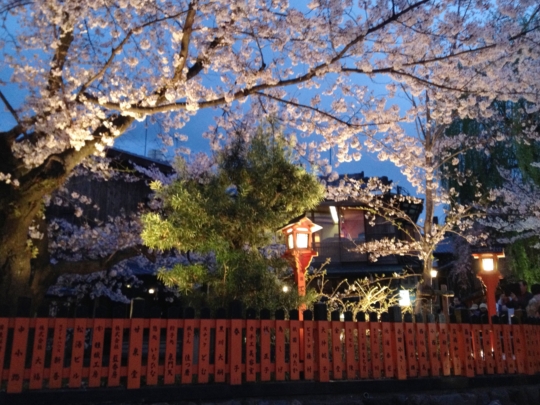 祇園白川ライトアップ2014