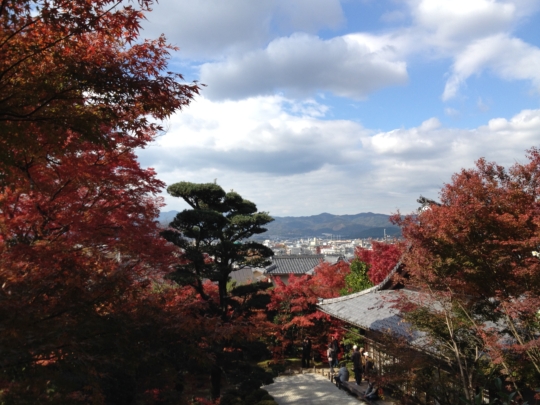 平成25（2013）年11月21日金福寺・八大神社・曼殊院の紅葉状況
