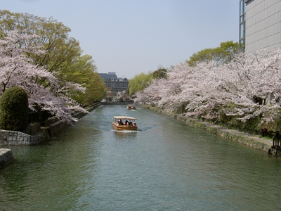 岡崎桜回廊十石舟めぐり（前編）