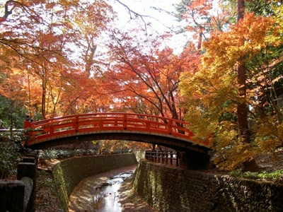 2024年秋京都人おすすめの紅葉スポット10選