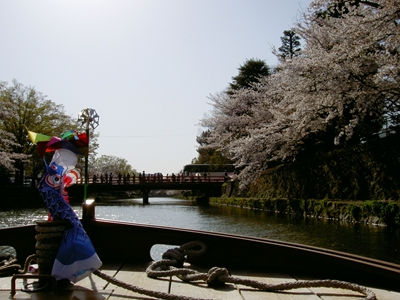 岡崎桜回廊十石舟めぐり（後編）