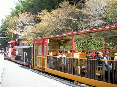 トロッコ列車（2009年お花見）