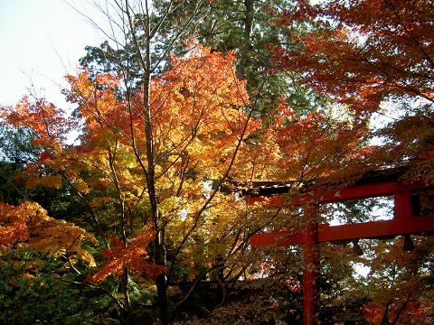 大原野神社（もみじ狩り）