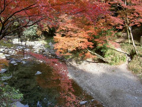 神護寺（もみじ狩り）