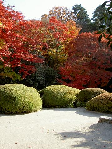 詩仙堂（もみじ狩り）