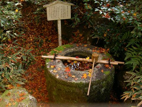 高桐院（もみじ狩り）